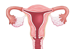 子宫内膜异位症为什么会发生，多与这几个因素有关