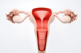 子宫内膜异位症有什么症状表现，做B超可以看出来吗？