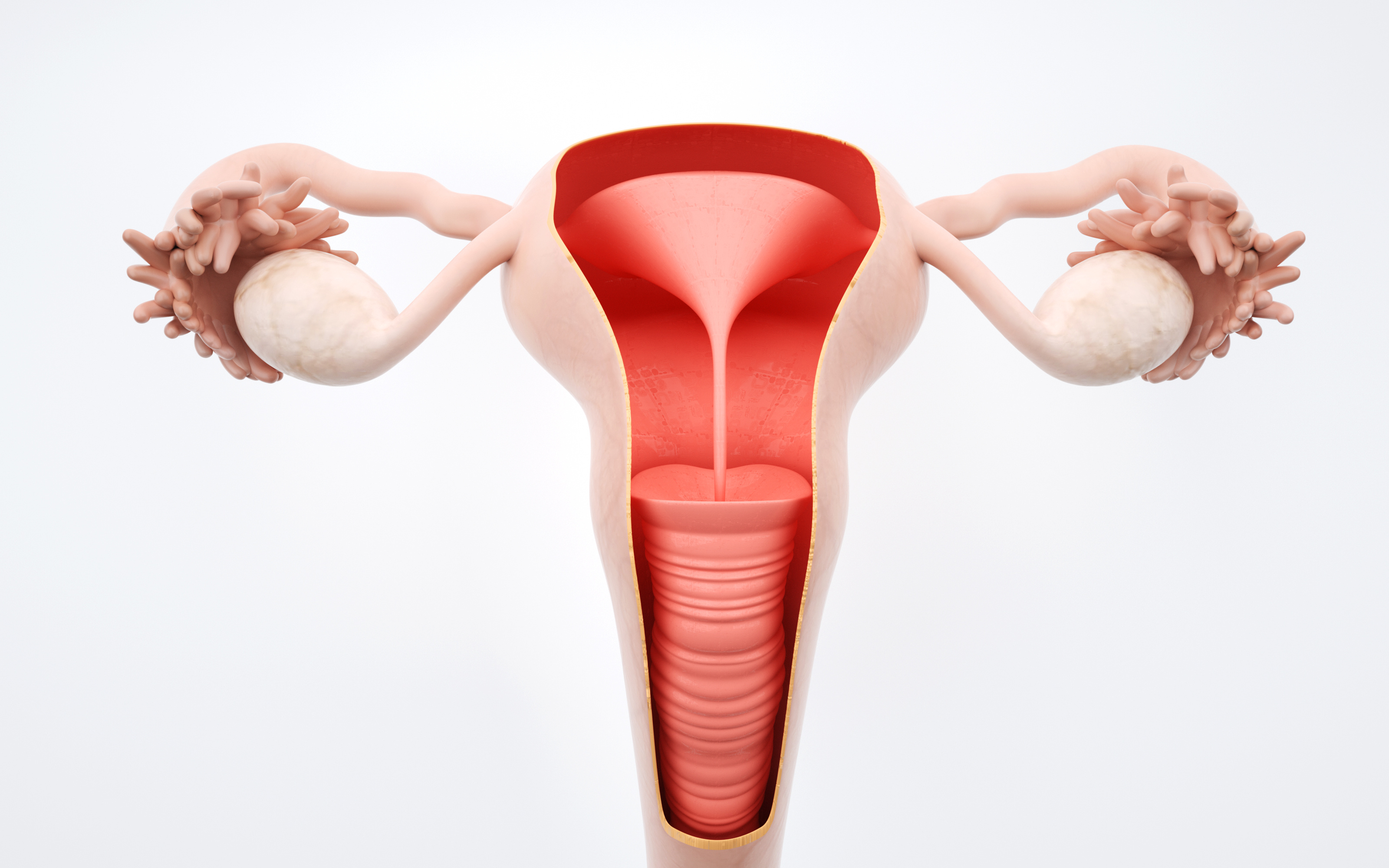 子宫内膜异位症有什么症状表现，做B超可以看出来吗？