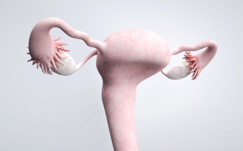 卵巢囊肿会自己消失吗？