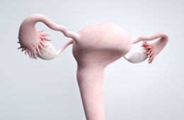 卵巢囊肿会自己消失吗？