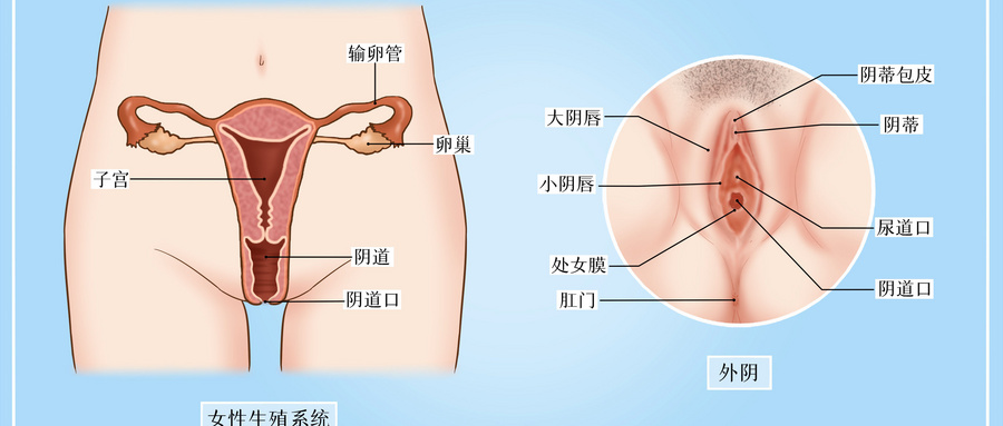 痒的睡不着！女性外阴瘙痒是什么原因导致的？