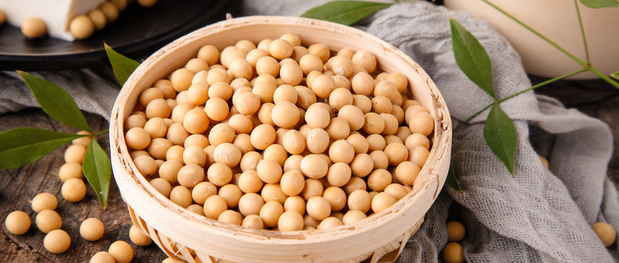 女性多吃大豆对身体好，子宫肌瘤患者可以吃么？