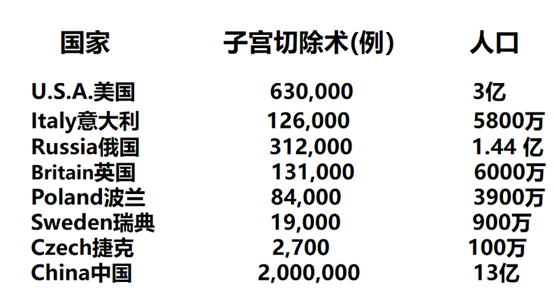 子宫——人类生命的摇篮