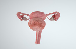 卵巢囊肿是怎么来的？会影响怀孕吗？