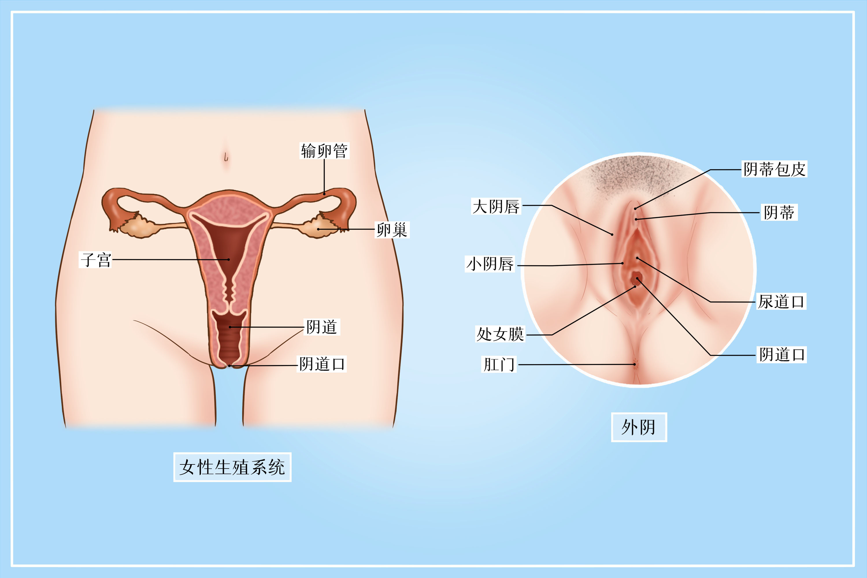 切除子宫，身体会有哪些变化