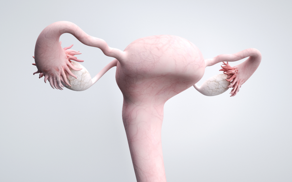 卵巢囊肿会自行消失吗？