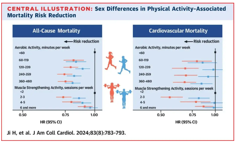 美国心脏病学院杂志（JACC）：女性比男性在运动中更容易获益