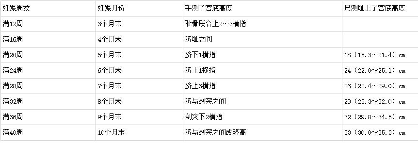 怀孕各周的子宫位置高度