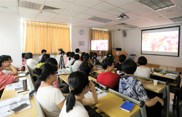 妇科腔镜与微无创手术培训精彩继续  理论与实践并重全面培养学员手术技能