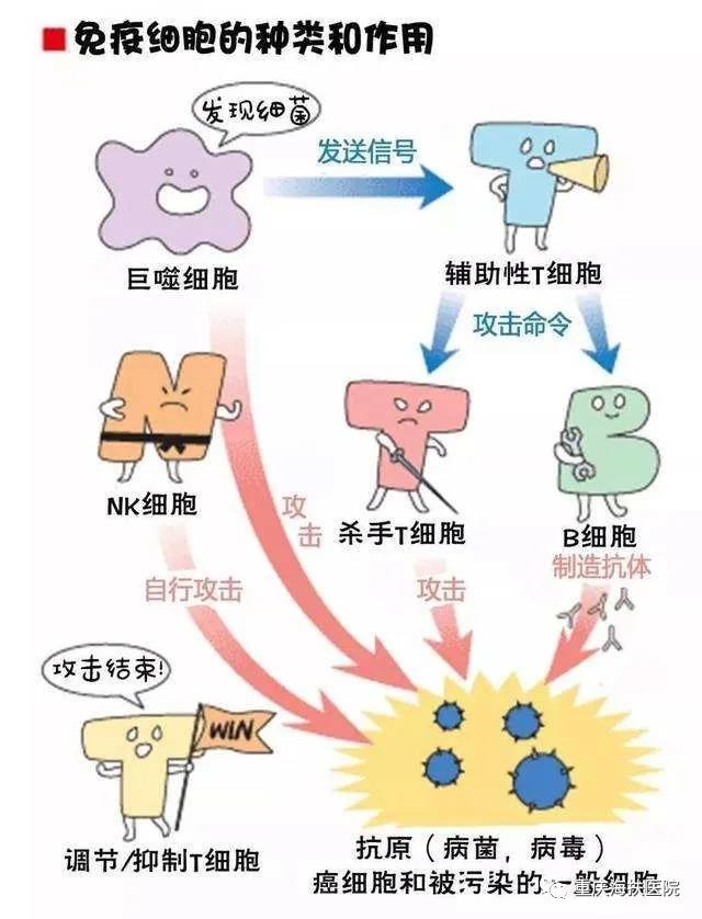 护航“免疫力”，让您更放心的聚焦超声消融治疗，立刻安排！